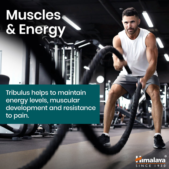 Himalaya Organic Tribulus (Gokshura)