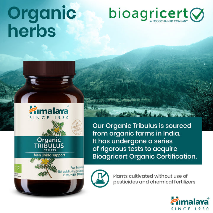 Himalaya Organic Tribulus (Gokshura)