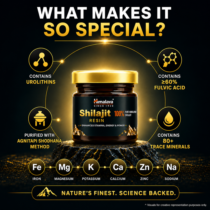 Himalaya SHILAJIT RESIN
