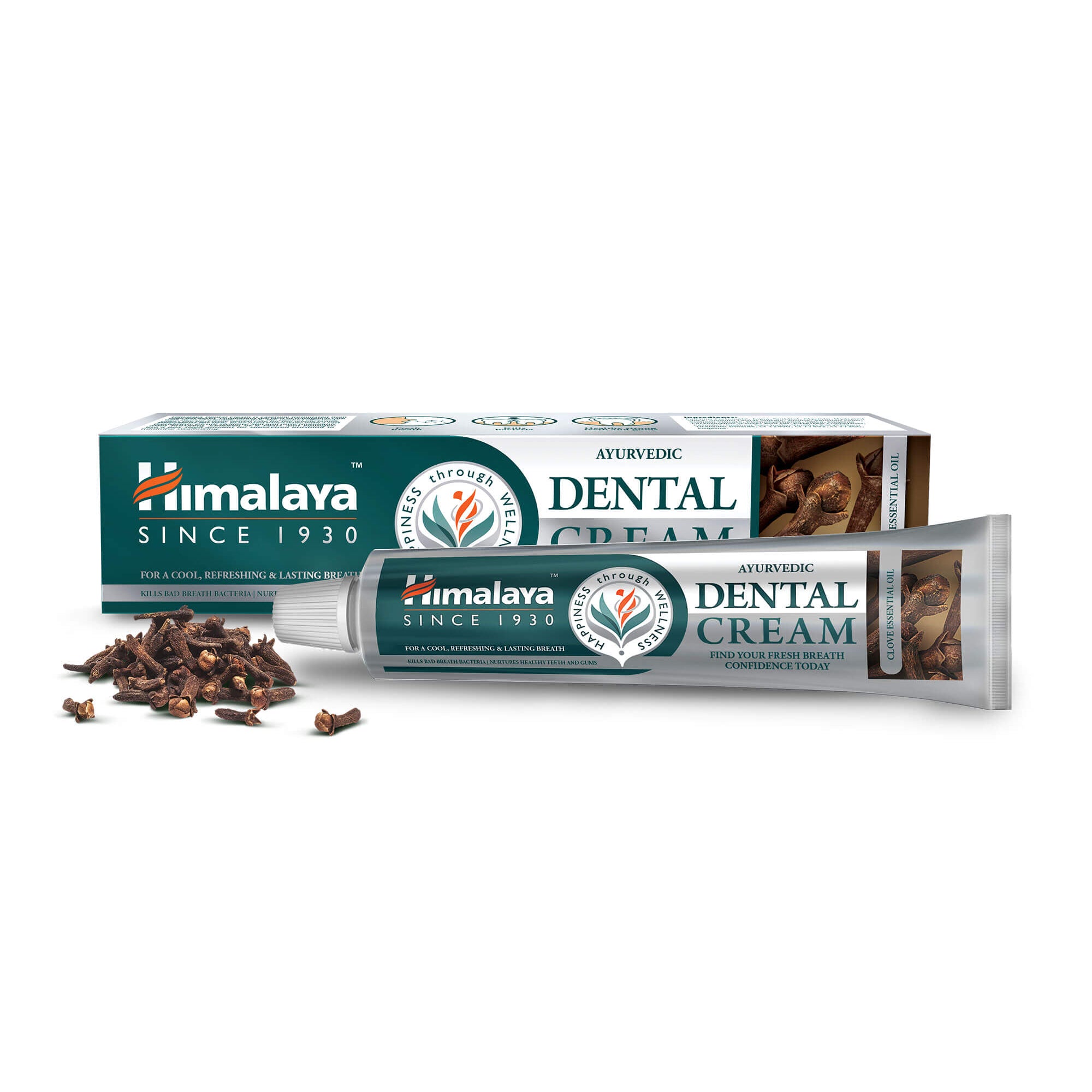 Buy Himalaya Ayurvedic Dental Cream Herbal Toothpaste (Clove) - 100g ...
