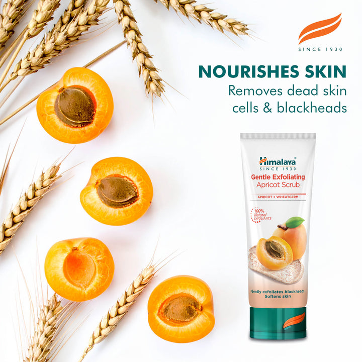 Himalaya Gentle Exfoliating Apricot Scrub - 75ml
