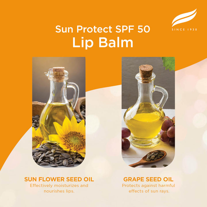 Himalaya Sun Protect Lip balm, 4.5 g