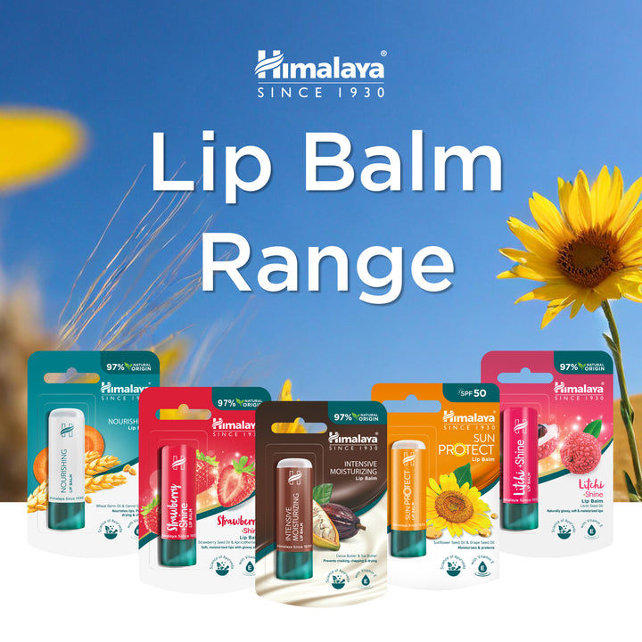 Himalaya Sun Protect Lip balm, 4.5 g
