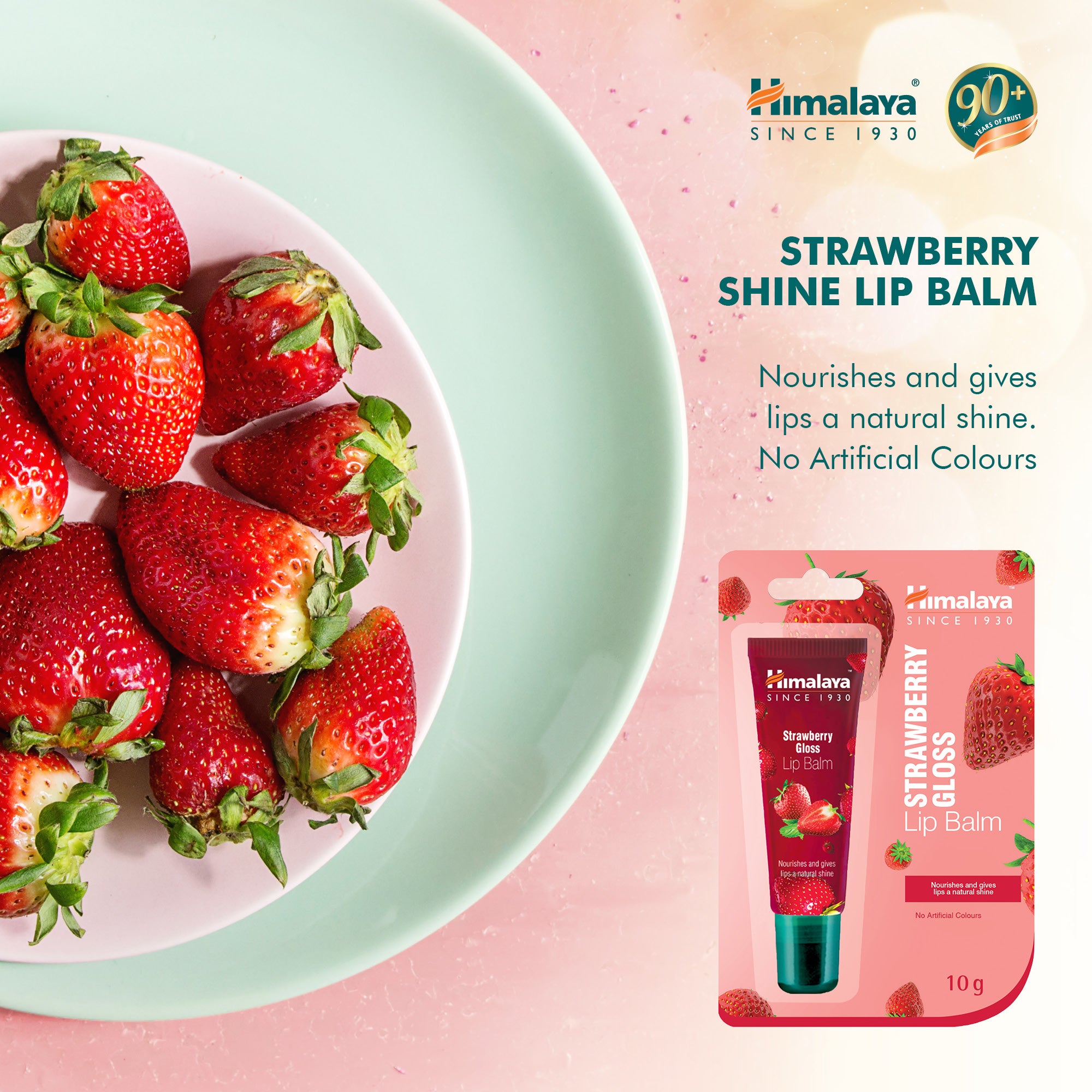 Himalaya Strawberry Gloss Lip Balm - 10g – Himalaya Wellness